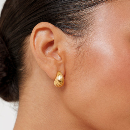 Ridged Earrings