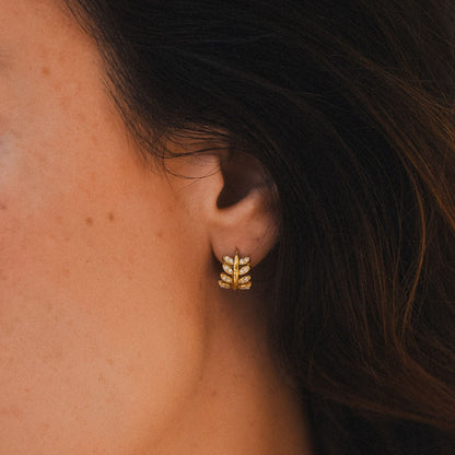Laurel Hoops Earrings