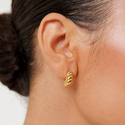 Nautilus Earrings