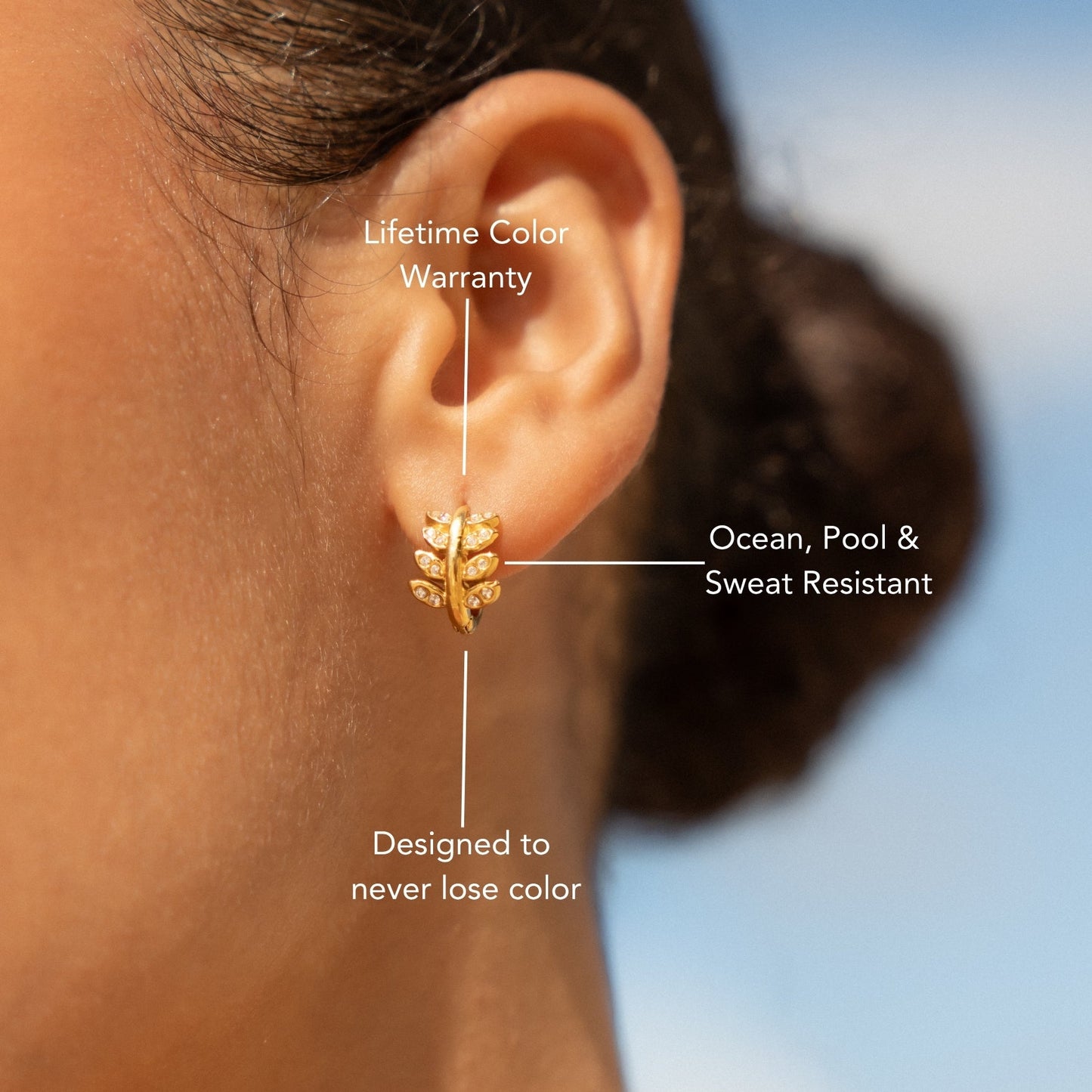 Laurel Hoops Earrings