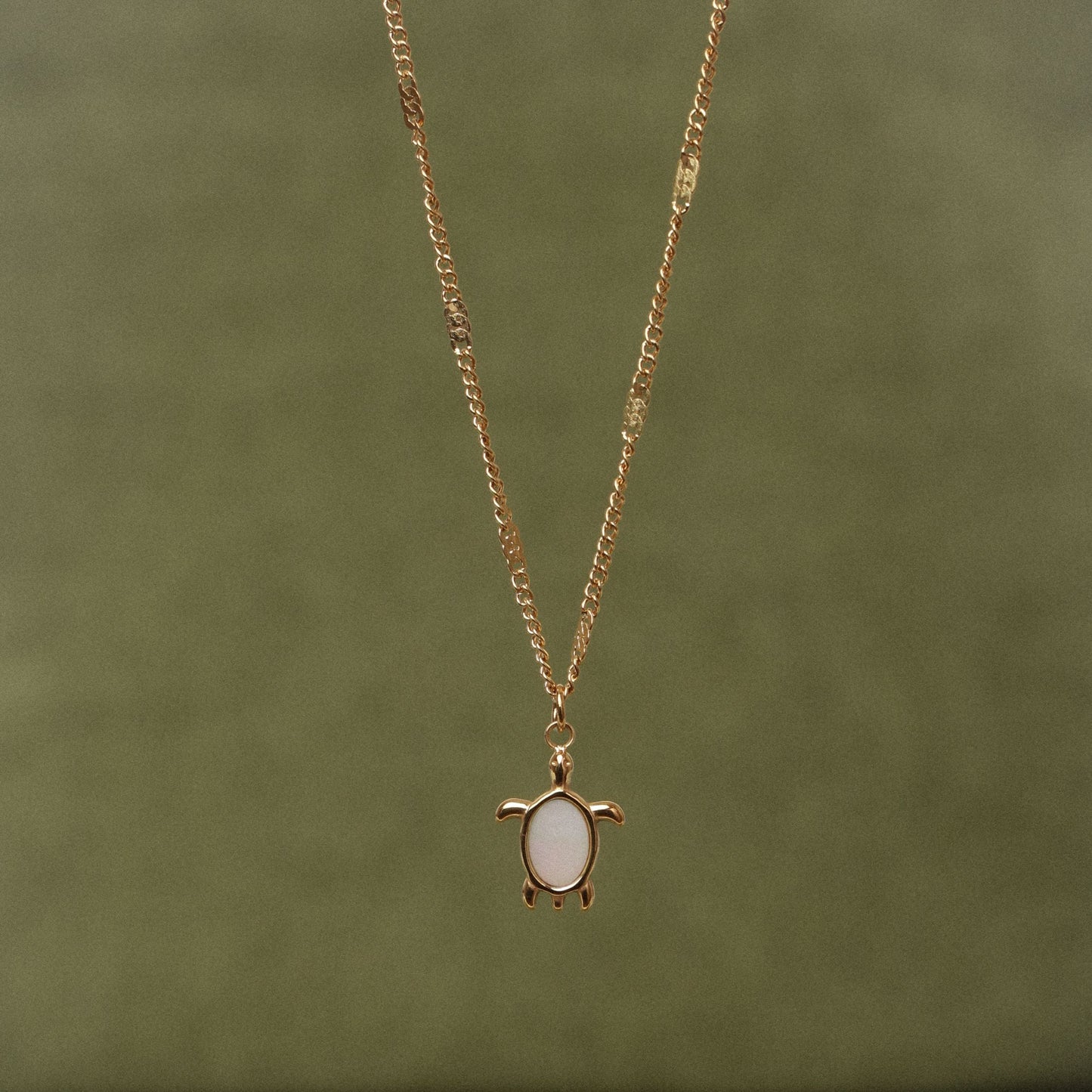 Turtle Guardian Necklace